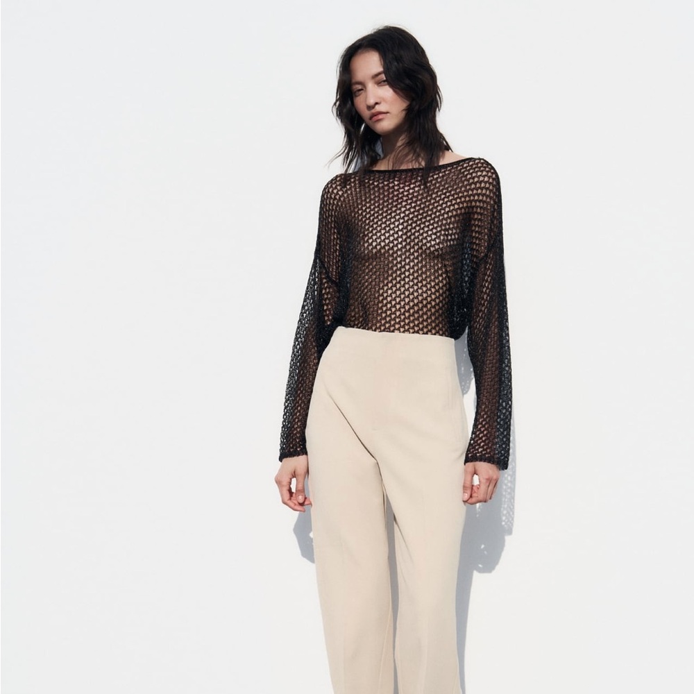 ZARA SEMI-SHEER KNIT SWEATER